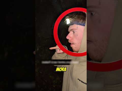 Ele Tocou Em Vários ANIMAIS! #curiosidades #animal #shorts