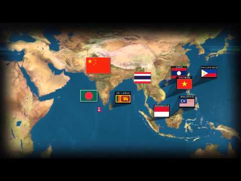 NARBO WELCOME ANIMATION