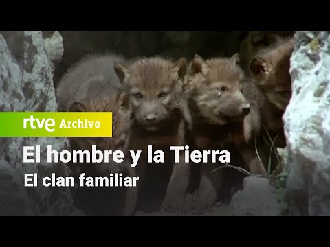 El hombre y la tierra: Chapter 68 - The Family Clan | RTVE Archivo