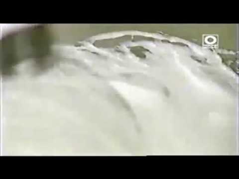 Pastel con tres leches Paulino Cruz