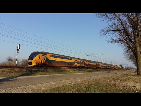 Trainspotting NL, Tongerlo, NS VIRM 8654