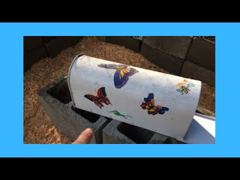 Planting herbs and veggies in straw bales