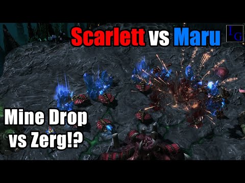 These Drones Need HAZARD PAY! (Scarlett vs Maru) | StarCraft 2 SC2 Professional Game Highlight Match