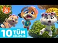 44 Kedi 10 Bölümün Tamamı Kedikulade 1 Sezondan Derleme 2