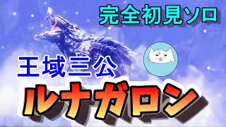 【モンハン サンブレイク】完全初見ソロで王域三公二体目のルナガロンに挑む！！【モンハン】【実況】