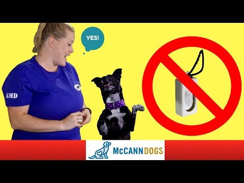 Clicker Training Without A Clicker - Professional Dog Training Tips