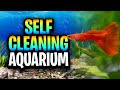 Self Cleaning Aquariums Made Easy Plants Microorganisms Substrate Lighting And Feeding