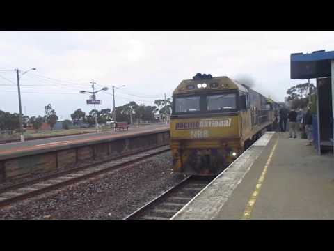 PN NR8+NR90+SS NR84 locos horn show