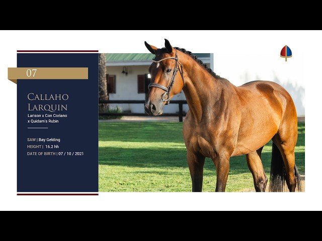 Callaho Larquin