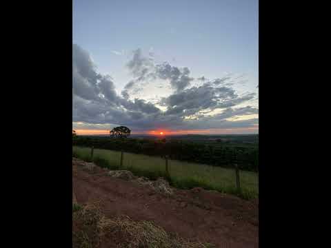 Saulo e Ricardo - Afogando as Magoas