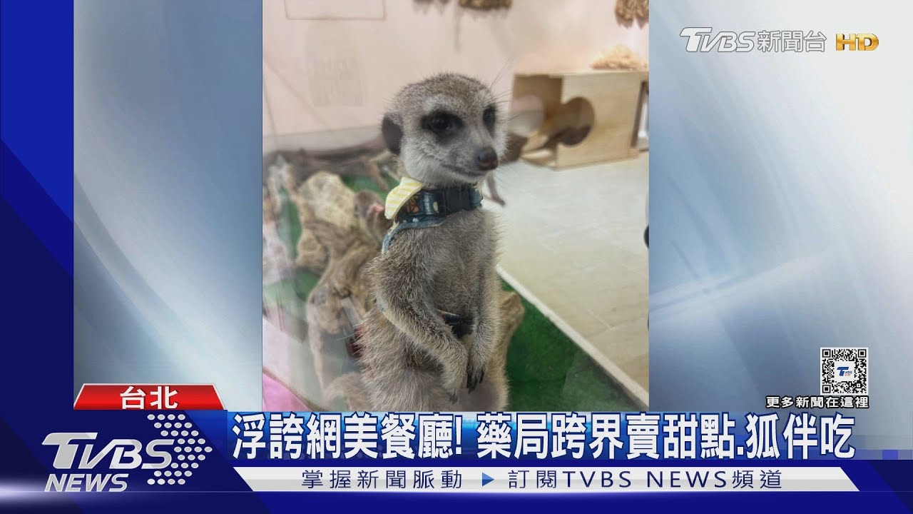 浮誇網美餐廳！藥局跨界賣甜點　狐獴伴吃