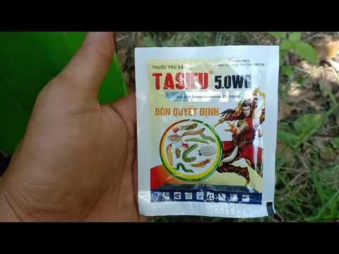 #152 - Chia sẻ thuốc sâu Tashieu 5.0wg (Emamectin)