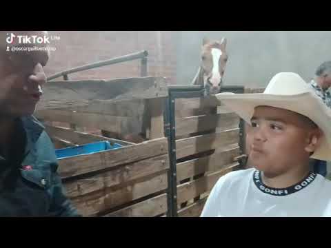 En Marsella Risaralda!! 🐴