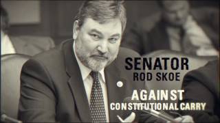 Senator Rod Skoe Supports Bloomberg’s Agenda for Minnesota!