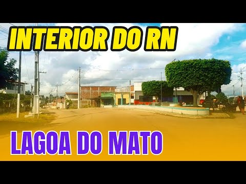 Viagem de Hoje pela RN-316: O Que Vimos pelo Caminho