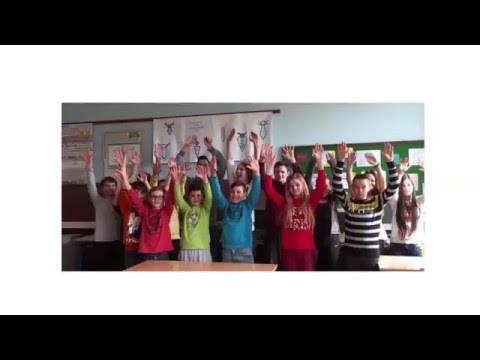 OŠ „Bilje“, Bilje