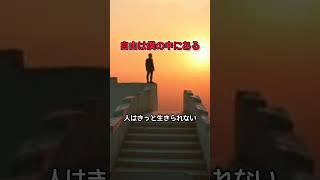 自由の意味は僕の中