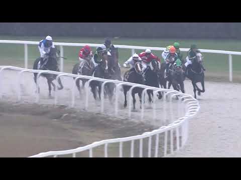 2018.11.25. 08. futam - HAVANNA HENDIKEP (II.o.) (szintetikus pálya)