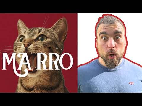 MARRO Cat Food Review - The Truth Revealed