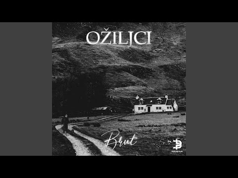 Ožiljci (feat. Lilmx)