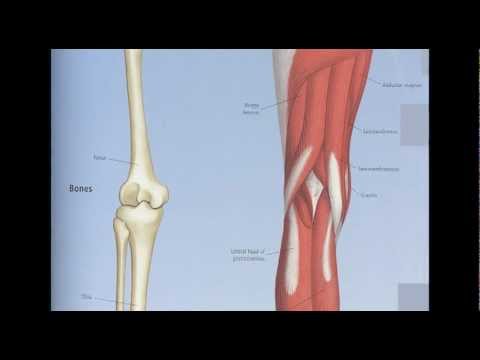 A láb interfalangeális ízületi gyulladása