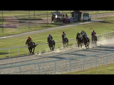 2020.10.04. 09. futam - PESTI NAPLÓ HENDIKEP (III.o.) (szintetikus pálya)