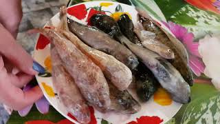 Рыбалка бычки азовского моря и их виды