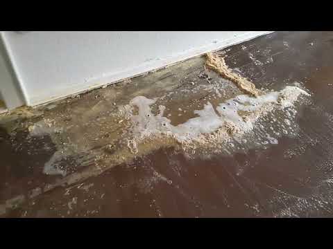 Teppichkleber entfernen leicht gemacht