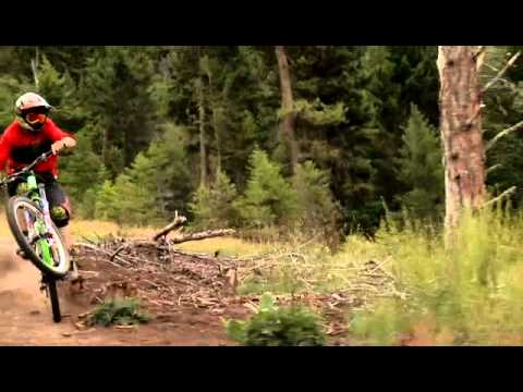 Dust&Bones-Graham Agassiz