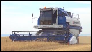 Намолотили 202 тысячи тонн зерна