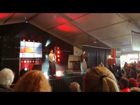 Amstelveen, Japanese festival