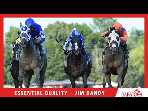 Essential Quality - 2021 - The Jim Dandy