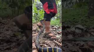 Download lagu Mau ketawa takut dosa video lucu bikin ngakak hiburan warga 62 funny videos memes mp3