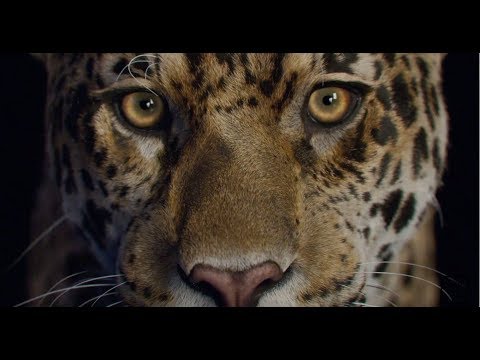 ftrack Studio customer showreel 2019