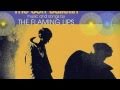 The Flaming Lips - Suddenly Everything Has Changed