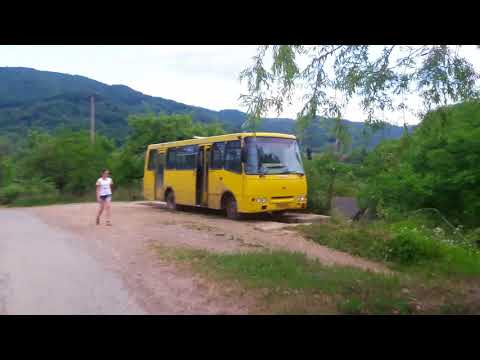 Виженка — Відео