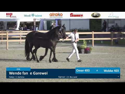 CK02023 | Donderdag 14 september | Baan 2