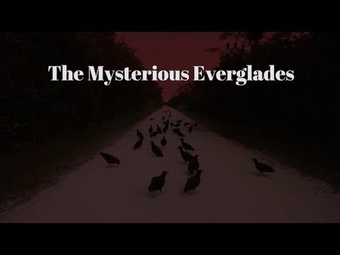 The Mysterious Everglades: Abandoned Places, Lonely Backroads & The Skunk Ape