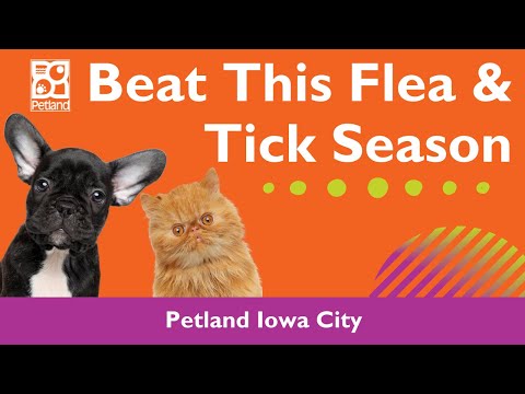 Tis The Season For Flea & Ticks