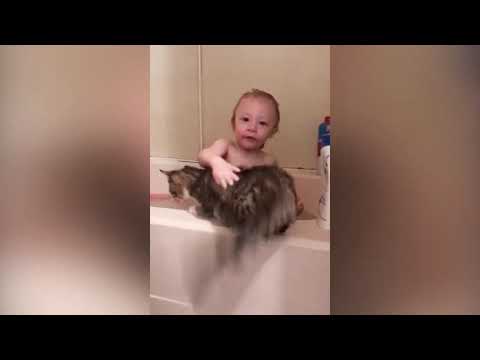 Baby and Cat Fun and Fails - baby baby Video (2)
