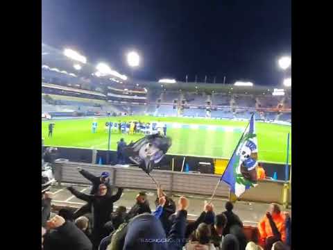 STAYEN, STAYEN RACING KOMT ERAAN