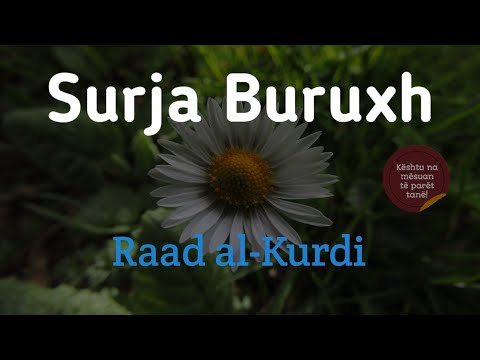Surja Buruxh | Raad al-Kurdi | Kështu na mësuan të parët tanë