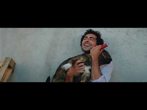 Nyco Ferrari - Domenica