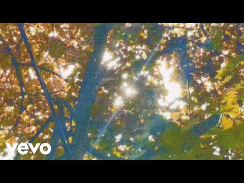 Video thumbnail for 100 days