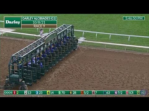 Darley Alcibiades (GI) Race Replay