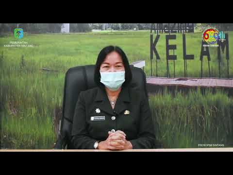 Hari Jadi Kota Sintang ke-659 Tahun 2021