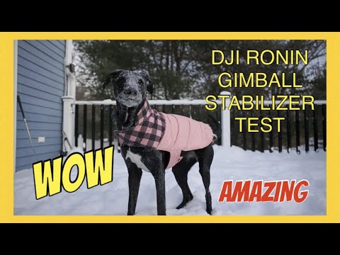 Canon R6 & Ronin RS2 Gimbal Stabilizer Test