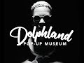 In A Weeks Work With Howard Ross Dolphland