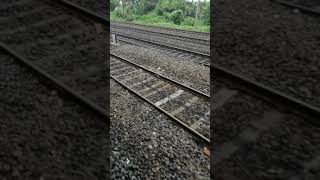 preview picture of video 'Gangasagar Express Darbhanga to Sealdah 26 06 2019'