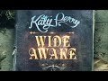 Katy Perry - Wide Awake (Sanjay 2020 Remix)/ Smile Tour Concept
